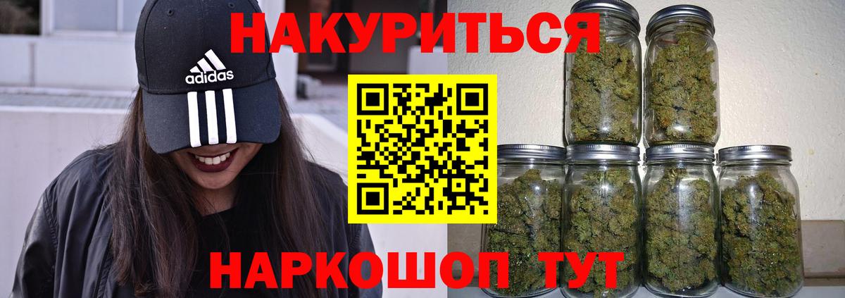 Конопля планчик Пугачёв
